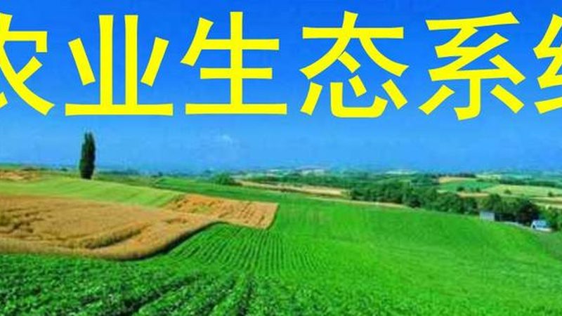 成都农产品配送：选对伙伴比选低价更重要