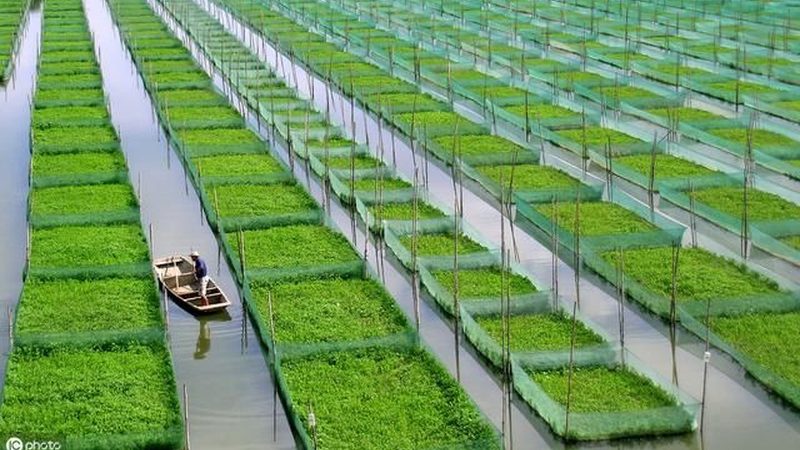 以下是一些在广东颇具影响力的生态农业观光园，供您参考：