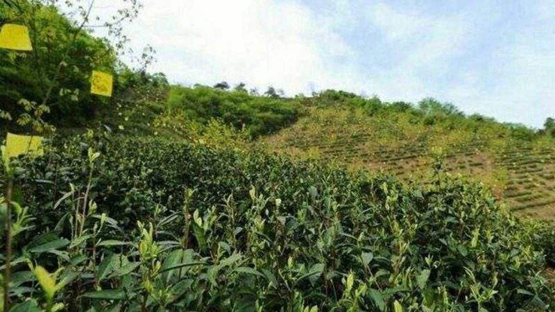 合作社注销，卡在最后一公里的不只是材料