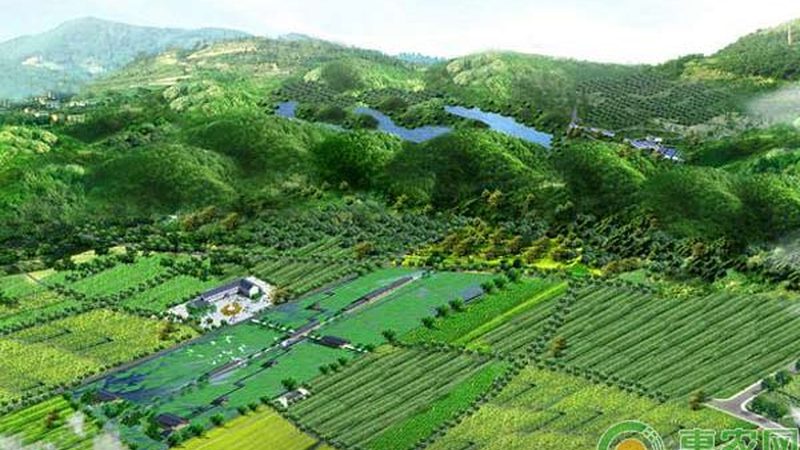 农村农产品批发创业，如何抓住市场脉搏？**