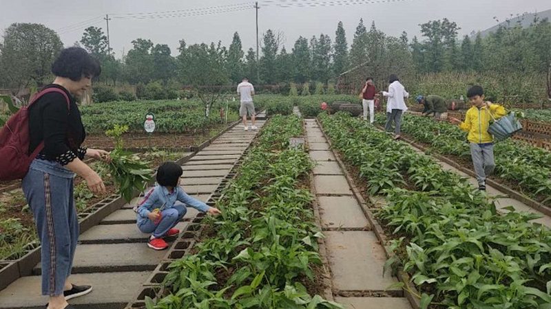 农资展会规模规格全解析：揭秘行业盛会背后的秘密