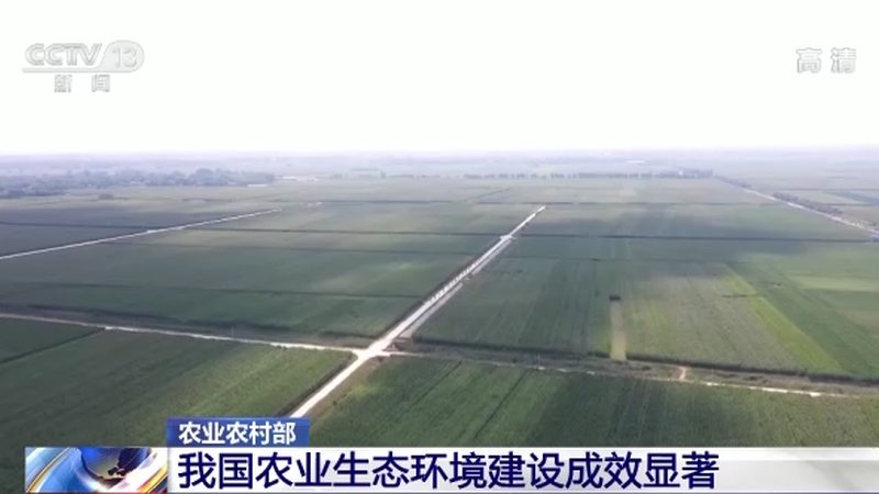 种粮大户补贴政策：了解条件，把握机遇**
