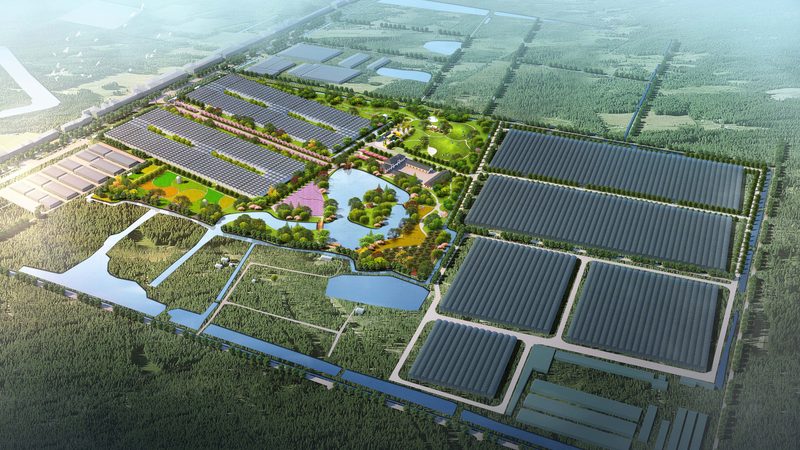 市级现代农业产业园建设，别只盯着“申报材料
