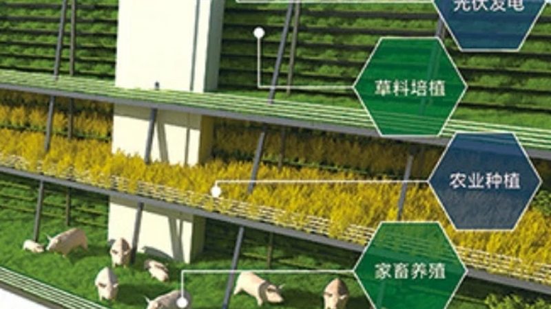 农资、农药、化肥：三者的本质区别与正确使用**