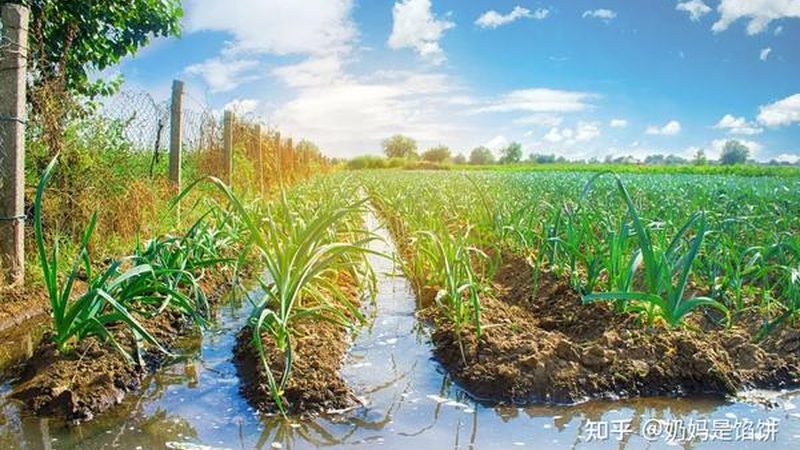 生鲜冷链物流成本到底藏在哪里
