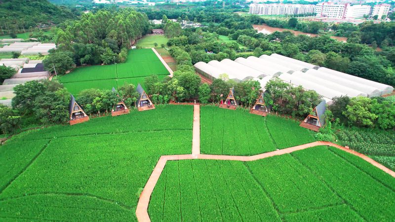 以下为不同类型合作社代理记账的大致价格范围，供参考：