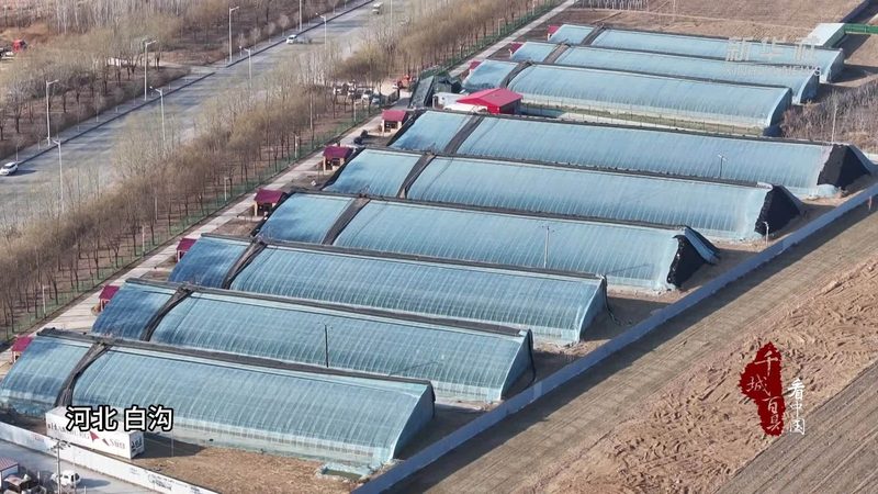 云南果树种植技术培训学校哪家强？关键要素揭秘**