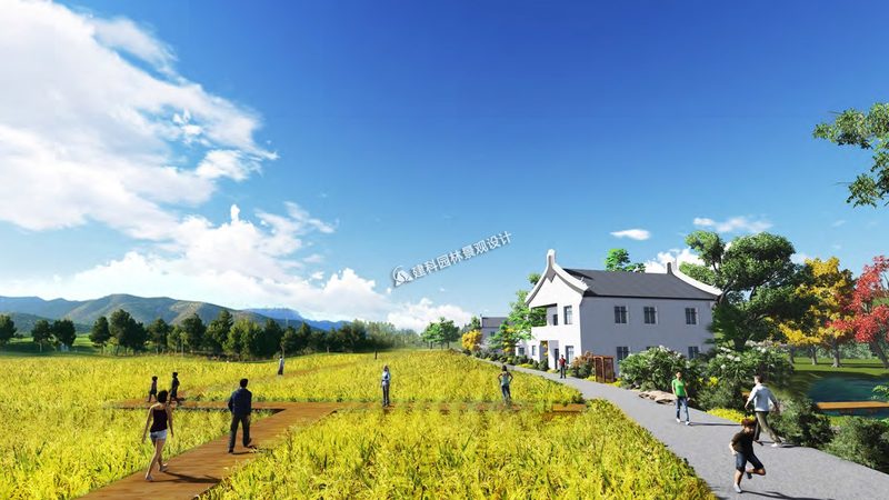 2024年有机蔬菜标准新动向：解读与影响