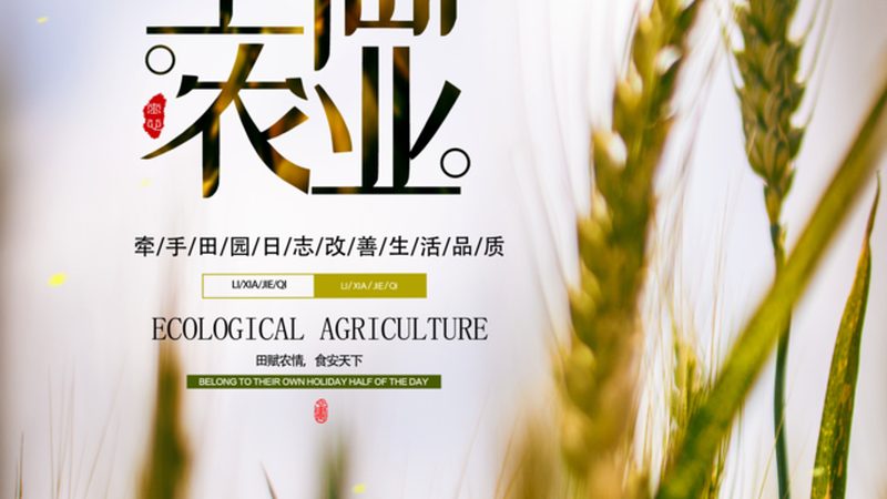 上海生态农业采摘园草莓批发，如何挑选优质草莓？**